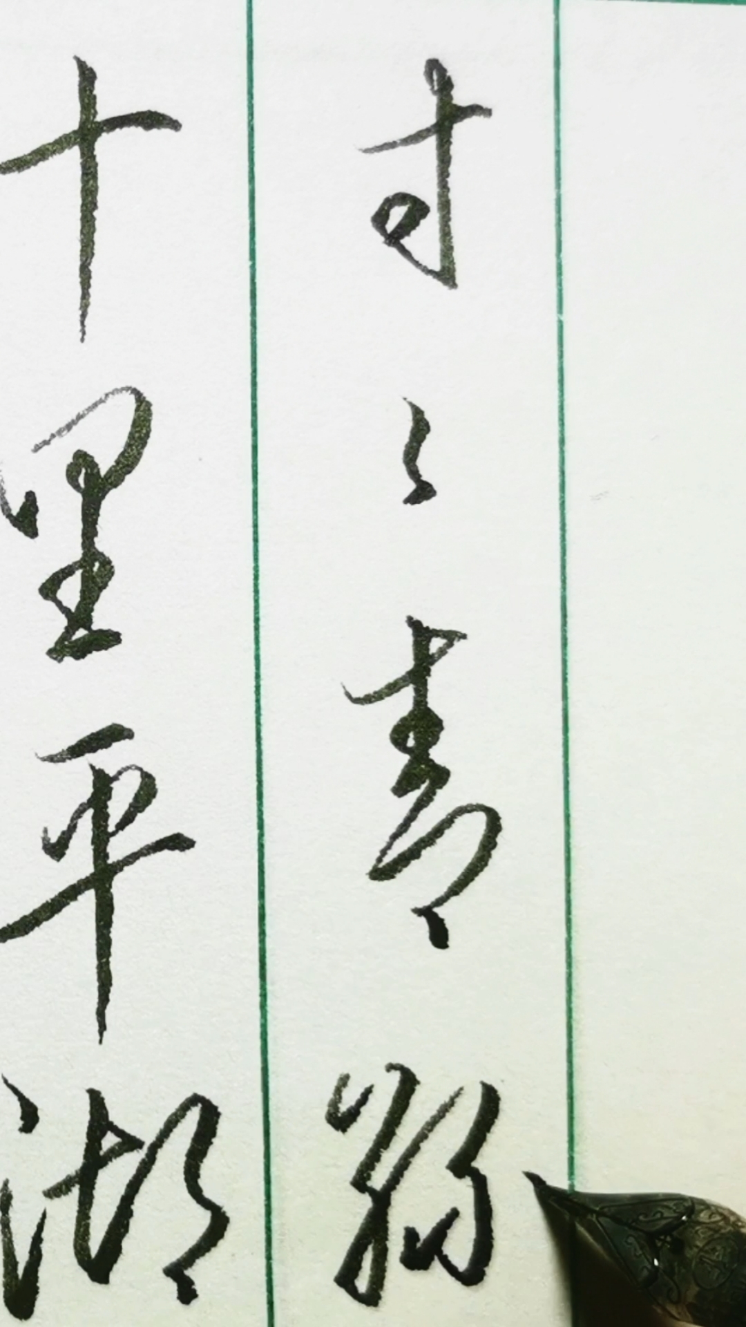 硬笔练字#十里平湖霜满天,寸寸青丝愁华年.