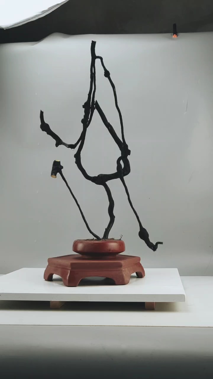 精品根艺怪桩金弹子