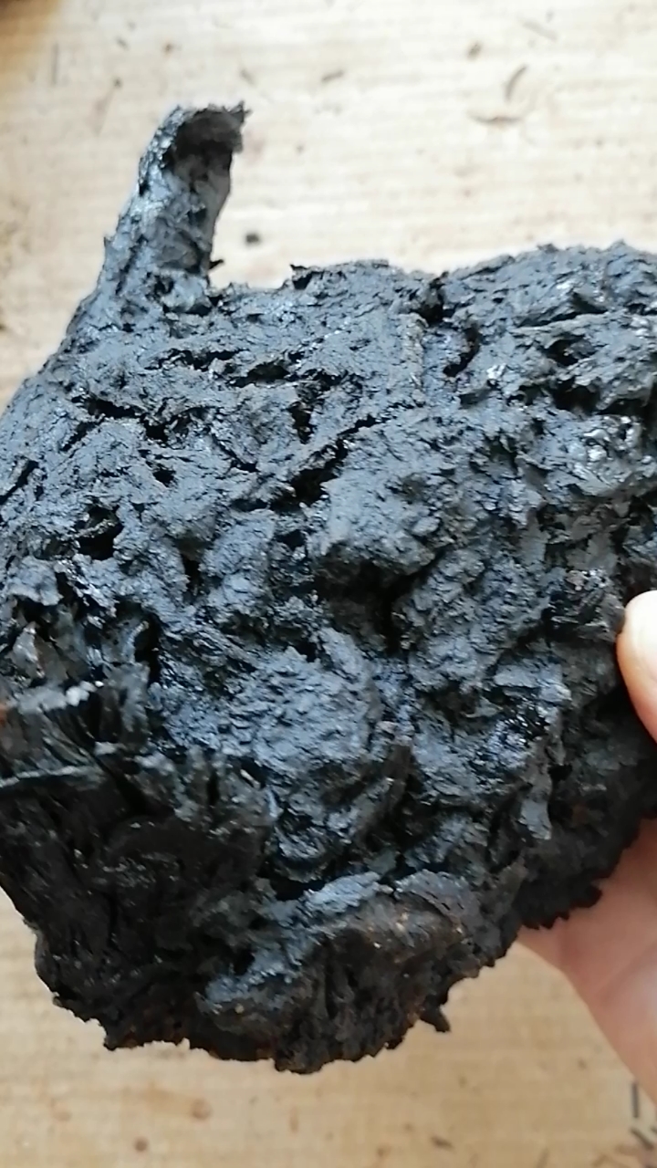 长白山桦树茸黑晶油精品大块