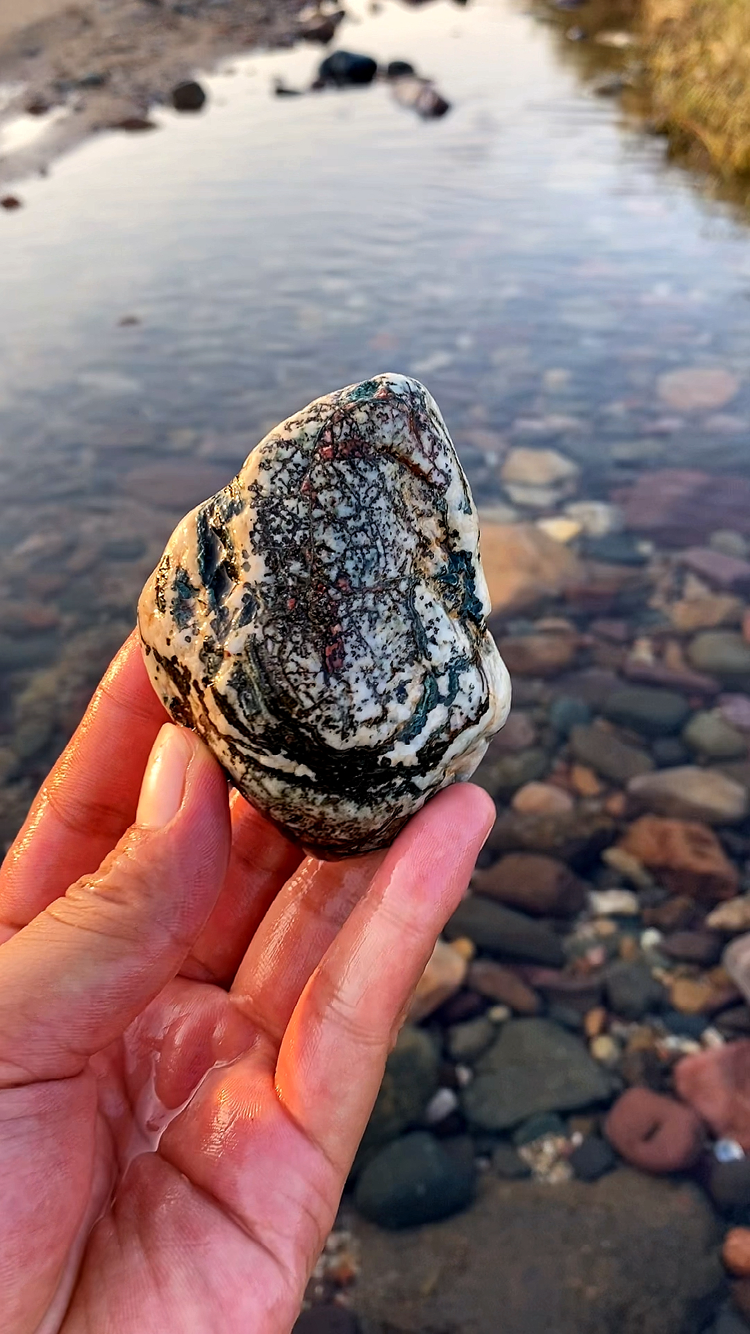 漂亮的石头#清澈的河水里捡到一块漂亮的小石头-度小视