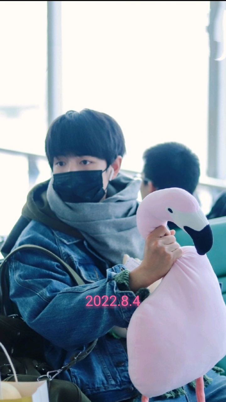 考古肖战传说中的肖战与火烈鸟事件