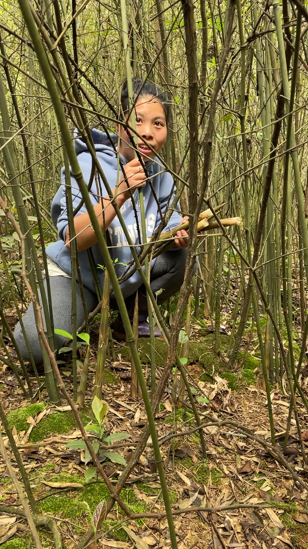 这样拔竹笋真过瘾