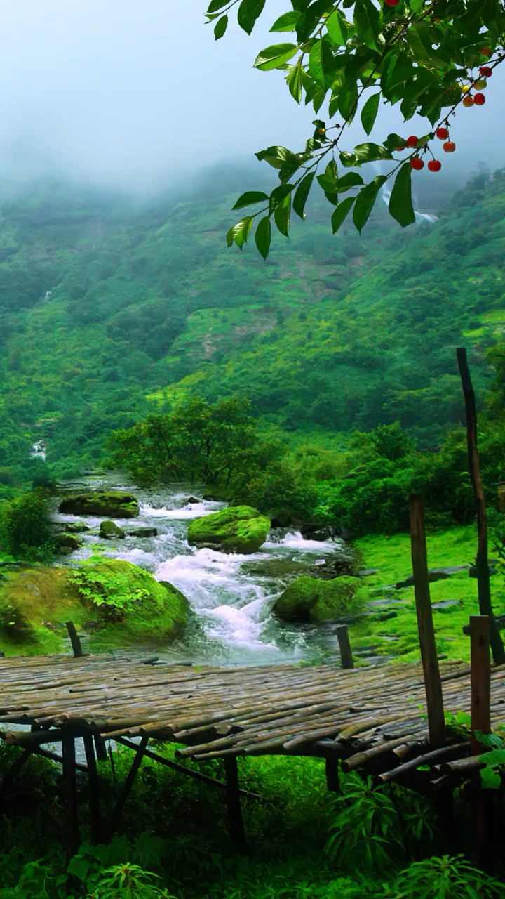 希望潺潺流水声能够给忙碌一天的你身心享受
