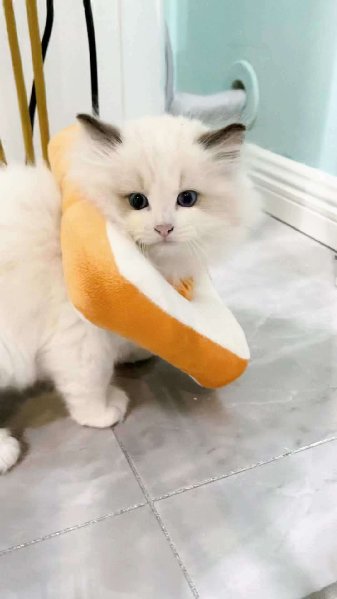 破壳计划#可可爱爱木鱼脑袋