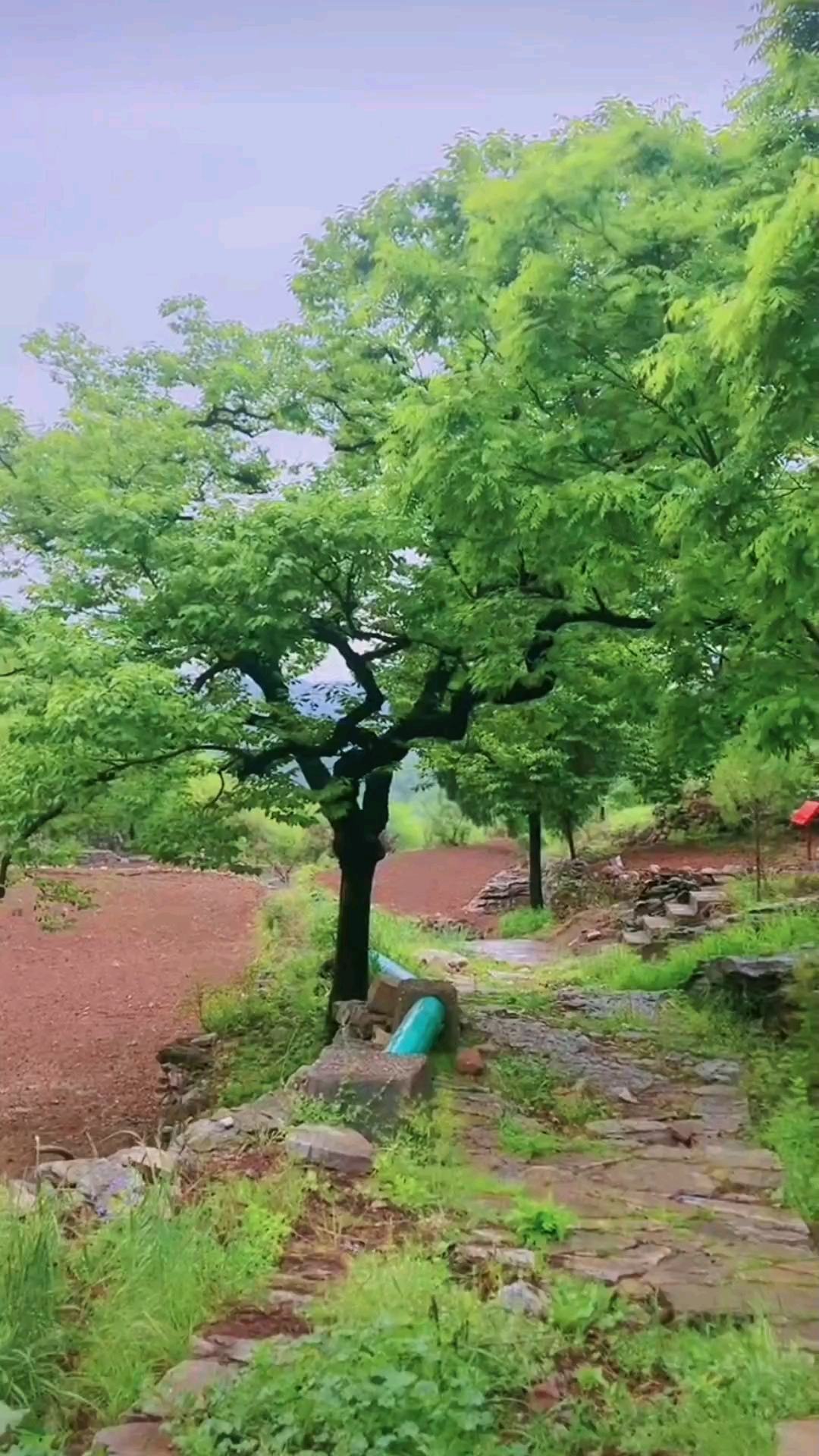 磁县陶泉乡花驼村(雨后的山村)