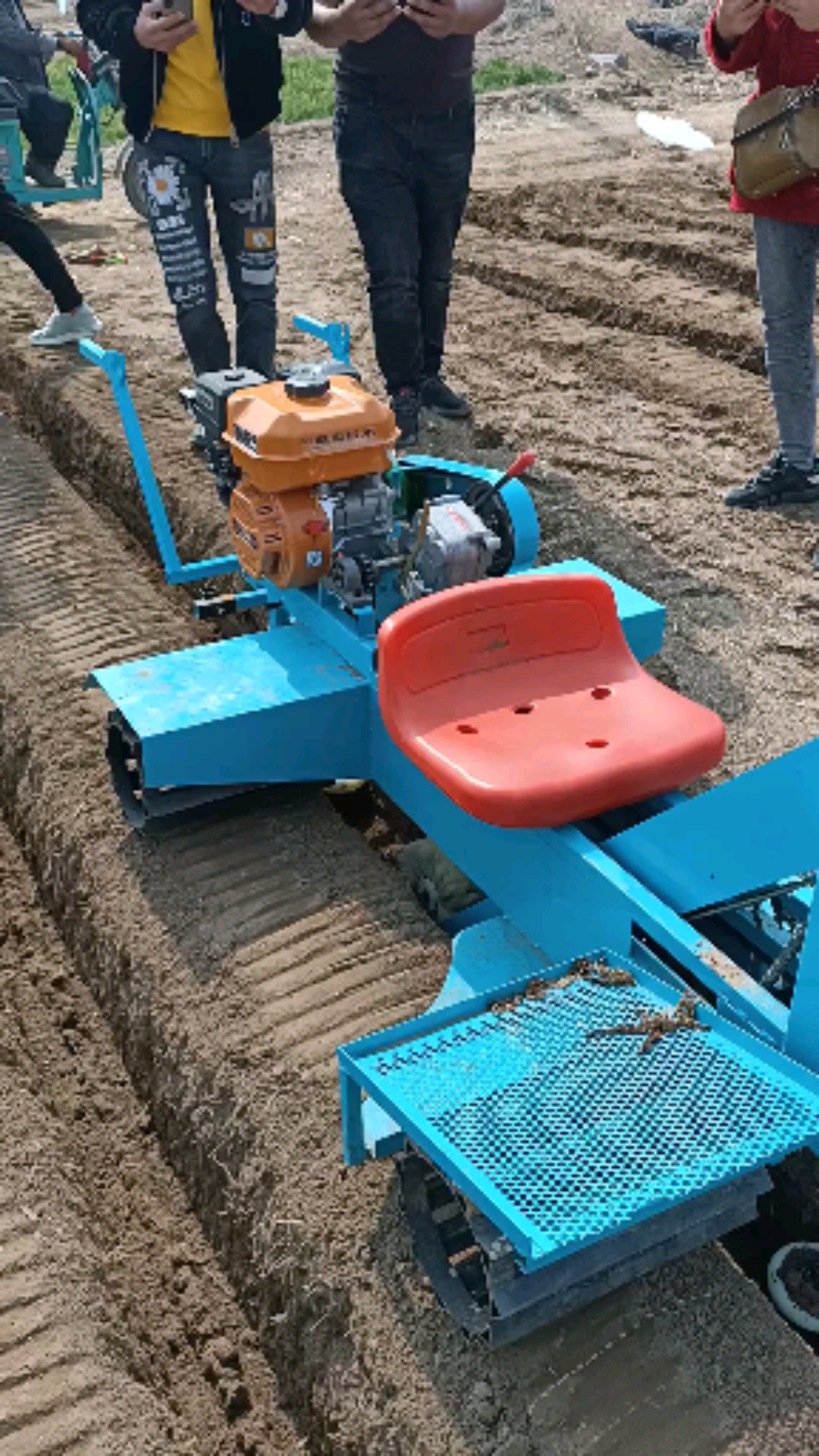 全民最牛手艺人#大姜播种机