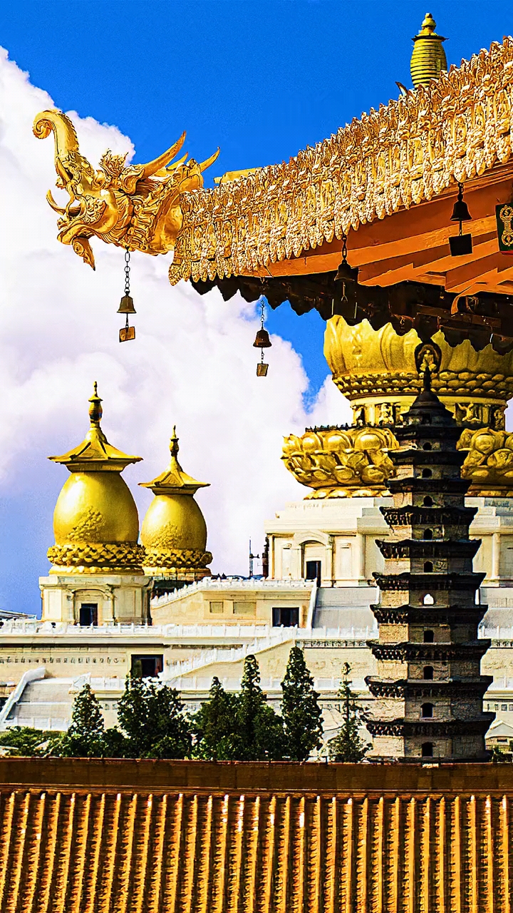 宝相寺后面金色的塔图片