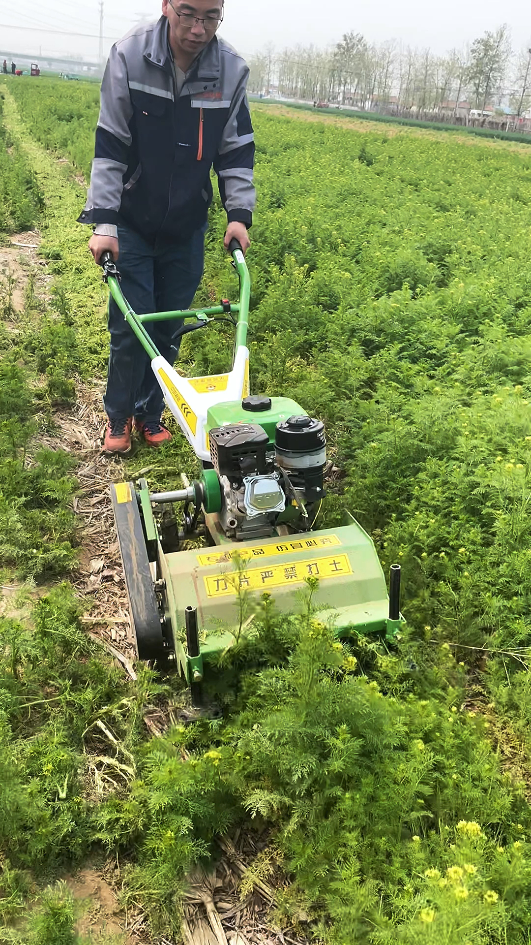 现代农业科技#除草季节,用碎草还田机代替人工和打药