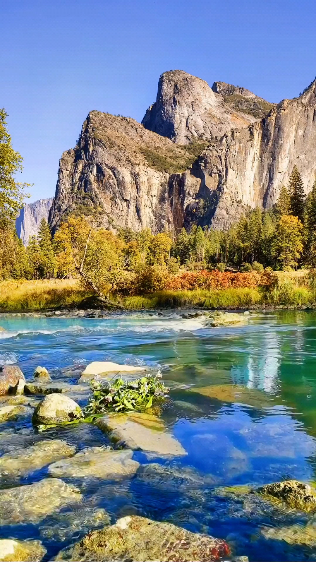 好美的一道风景线,大自然的风景美如画