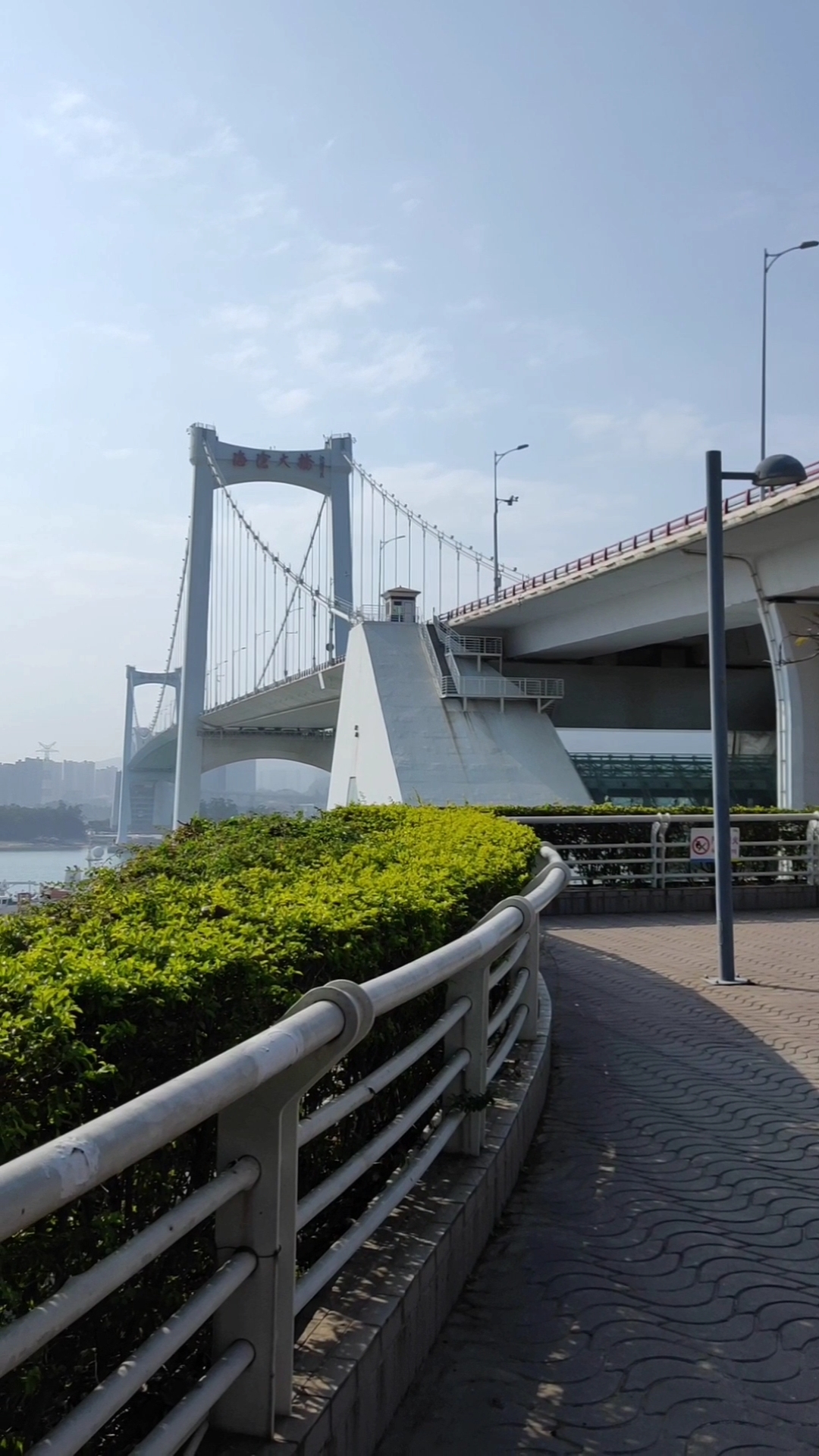 厦门海沧大桥,一座非常特别的跨海悬索桥