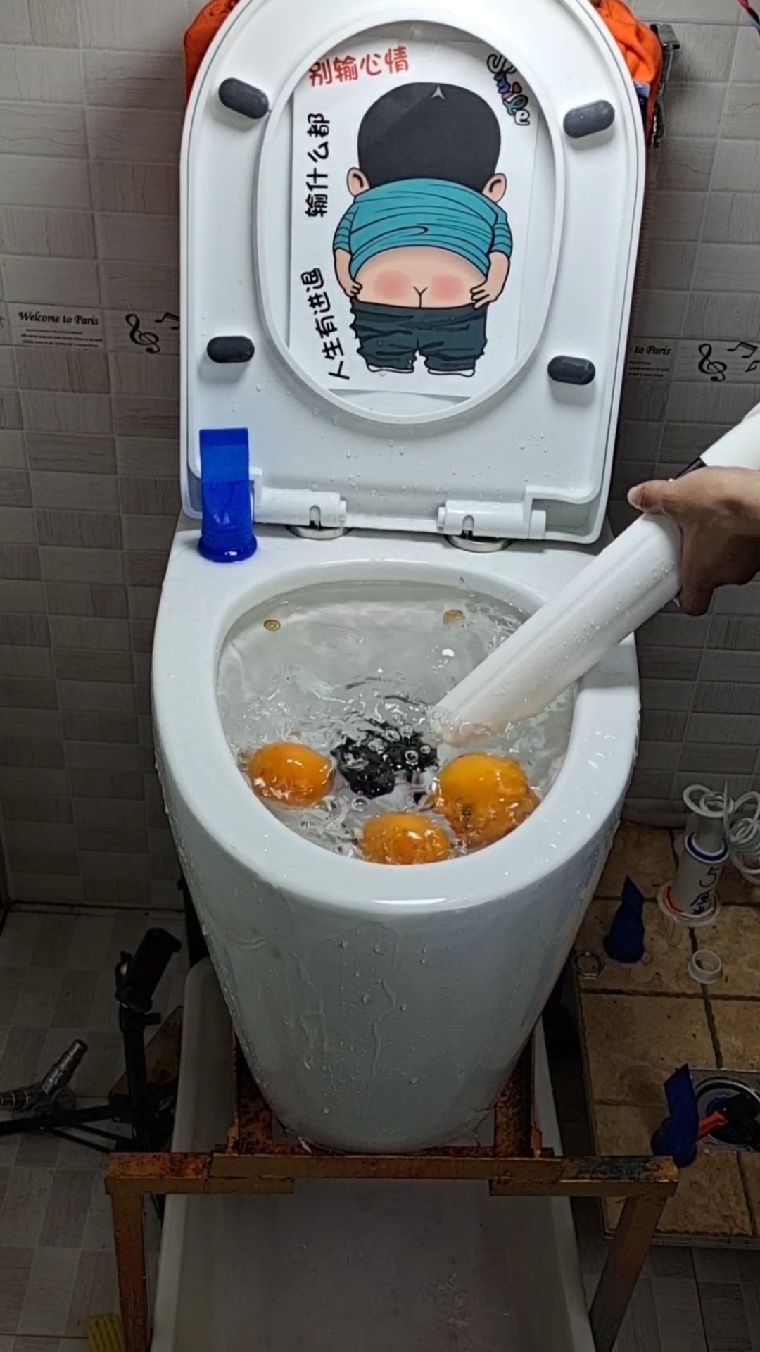 好物推荐#马桶堵了怎么办?