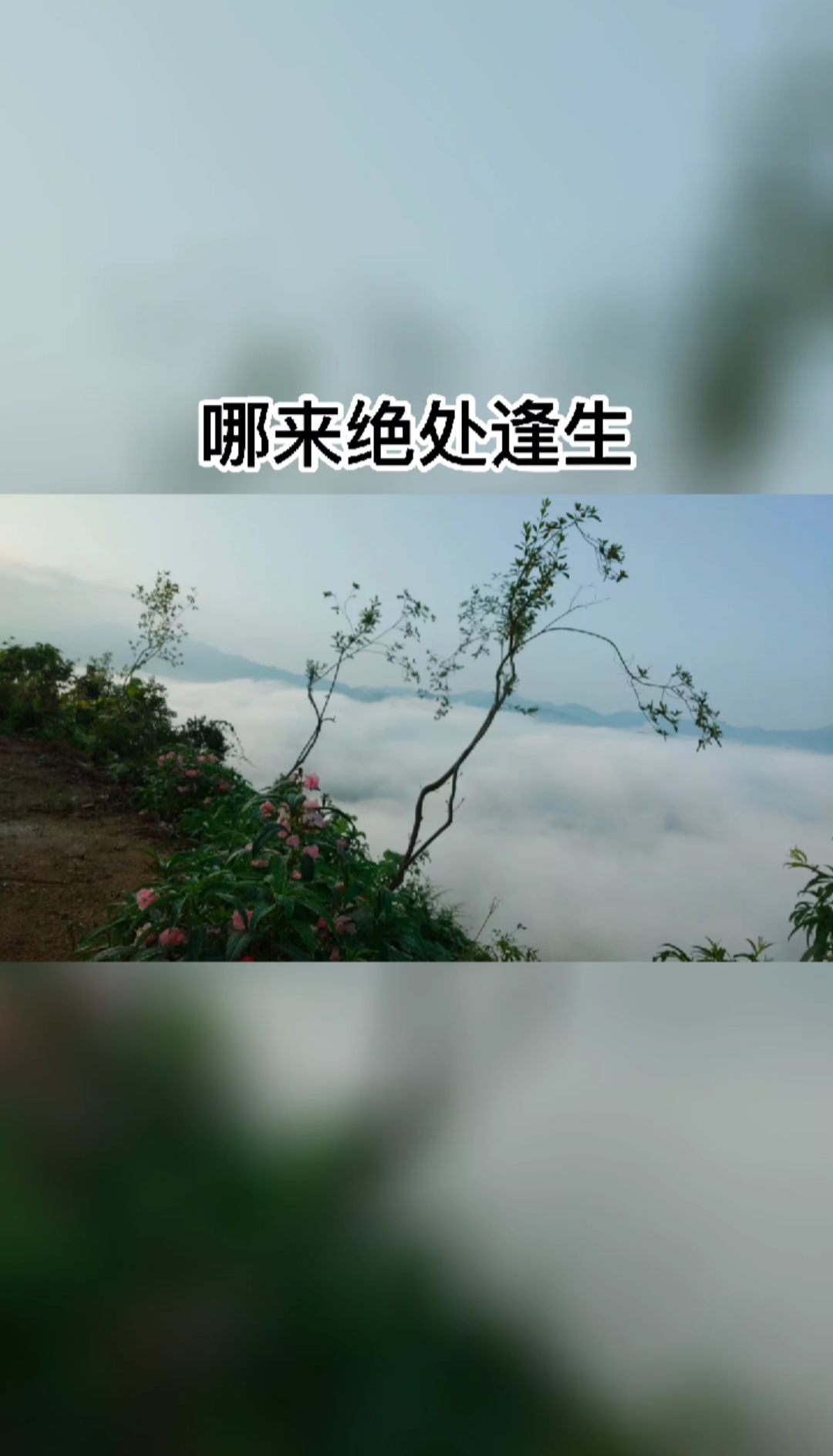 不一样的人生没有山穷水尽哪来柳暗花明