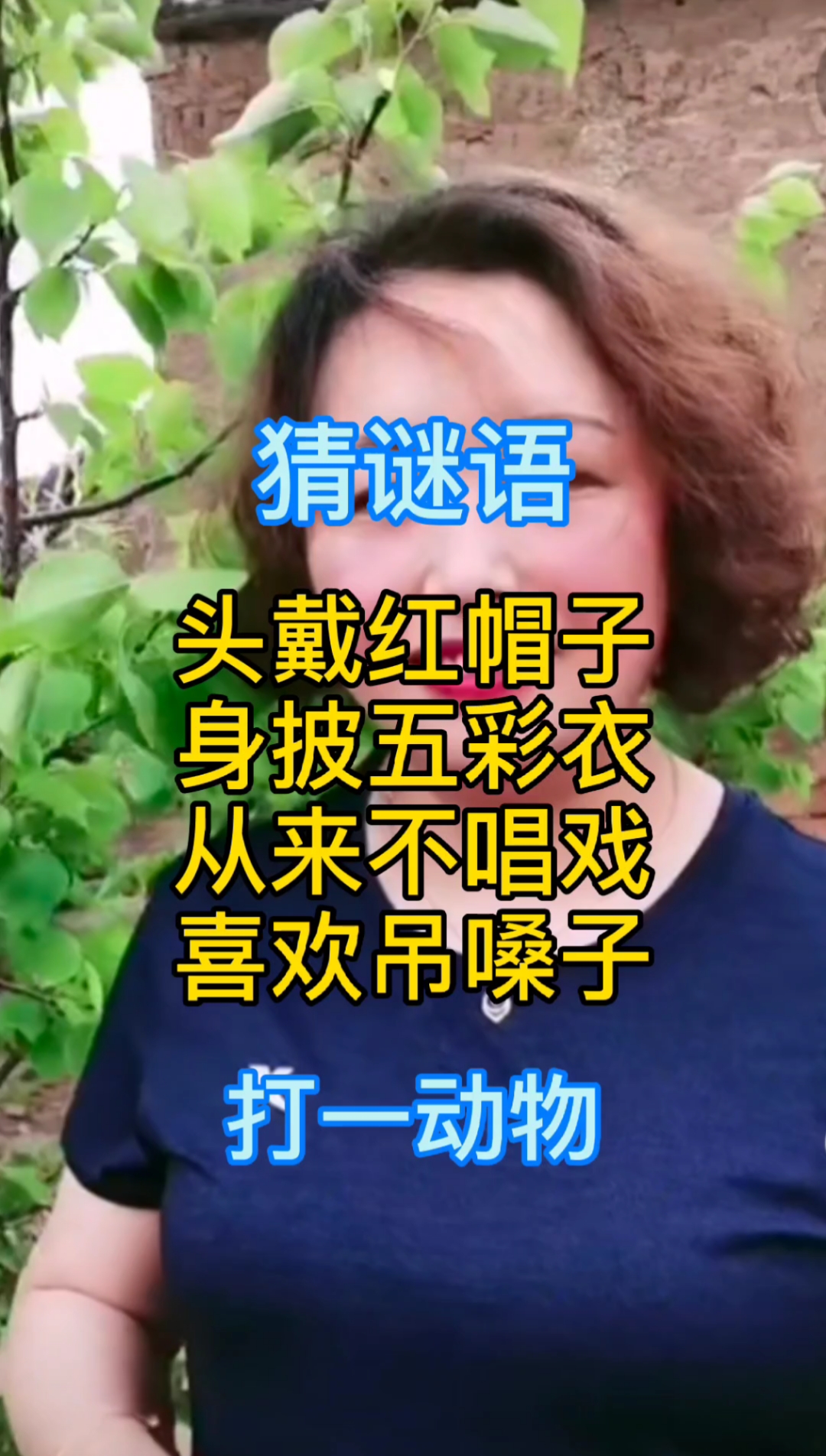 我要上热门#头戴红帽子,身披五彩衣,从来不唱戏,喜欢吊嗓子!猜一动物