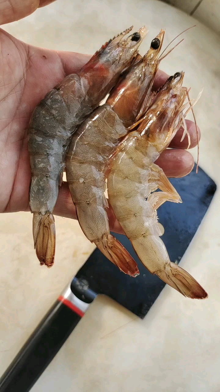 从五星级酒店来的老师傅把黑头的虾这样一改刀价钱翻了两倍,你吃过吗?