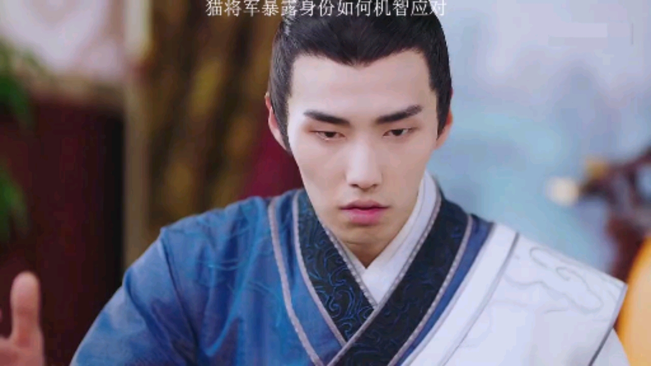 我的宠物少将军#猫将军暴露身份如何机智应对%我的宠物少将军%肖凯中