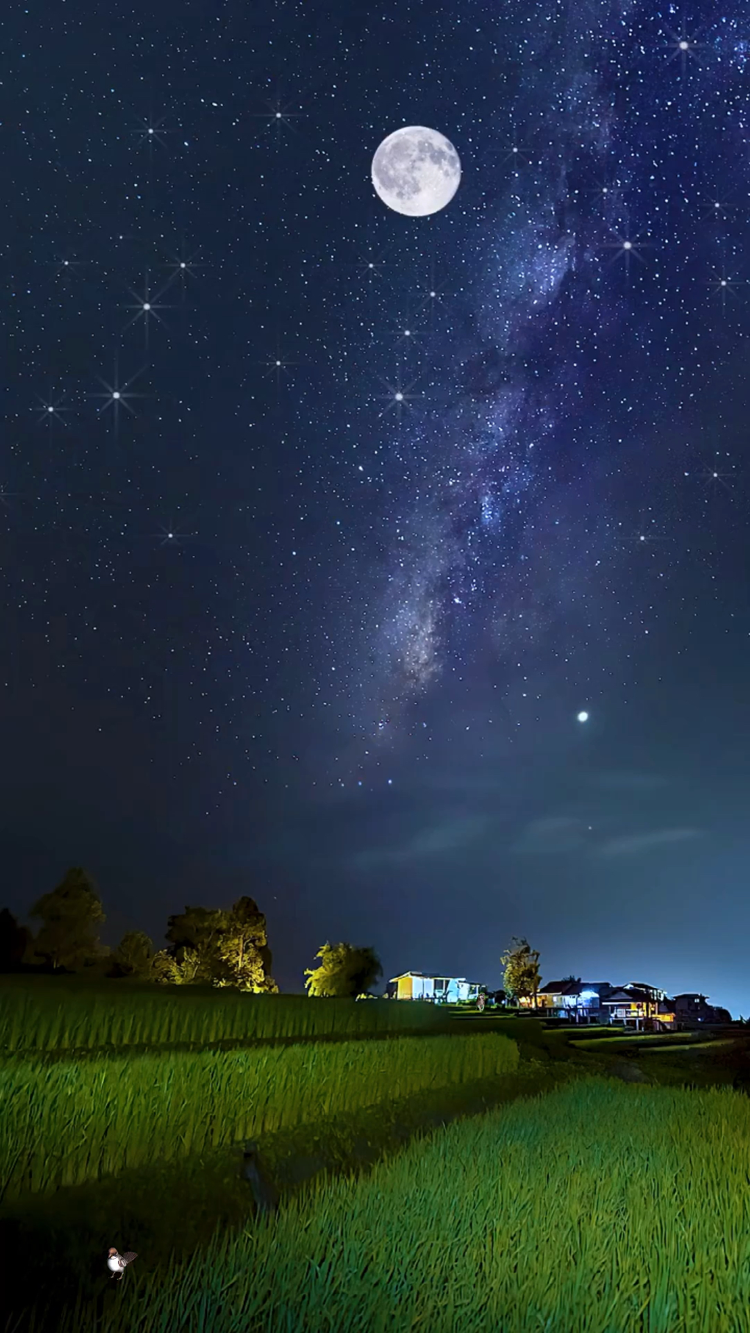 人在他乡#夜深人静的时候最想家!想远在家乡的父母!