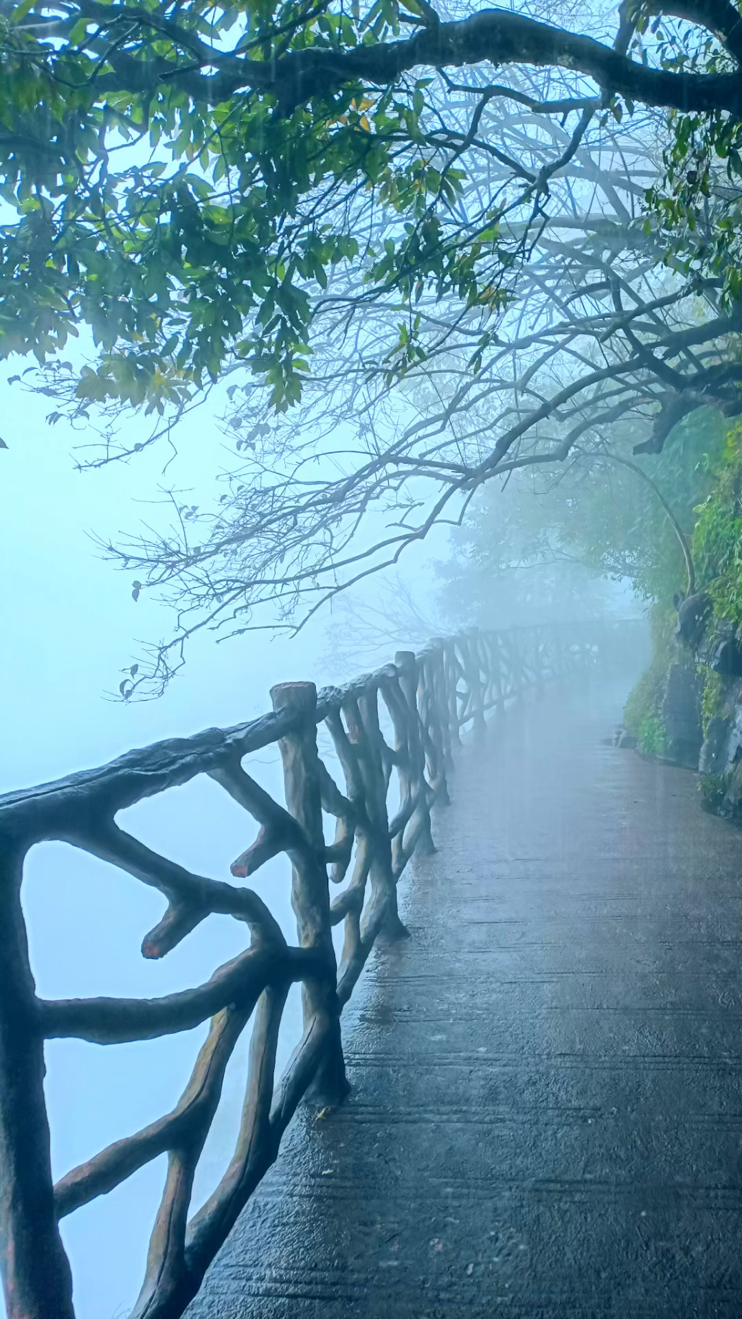 半生风雨半生寒,一杯浊酒敬流年;回首过往半生路,七分酸楚三分甜!