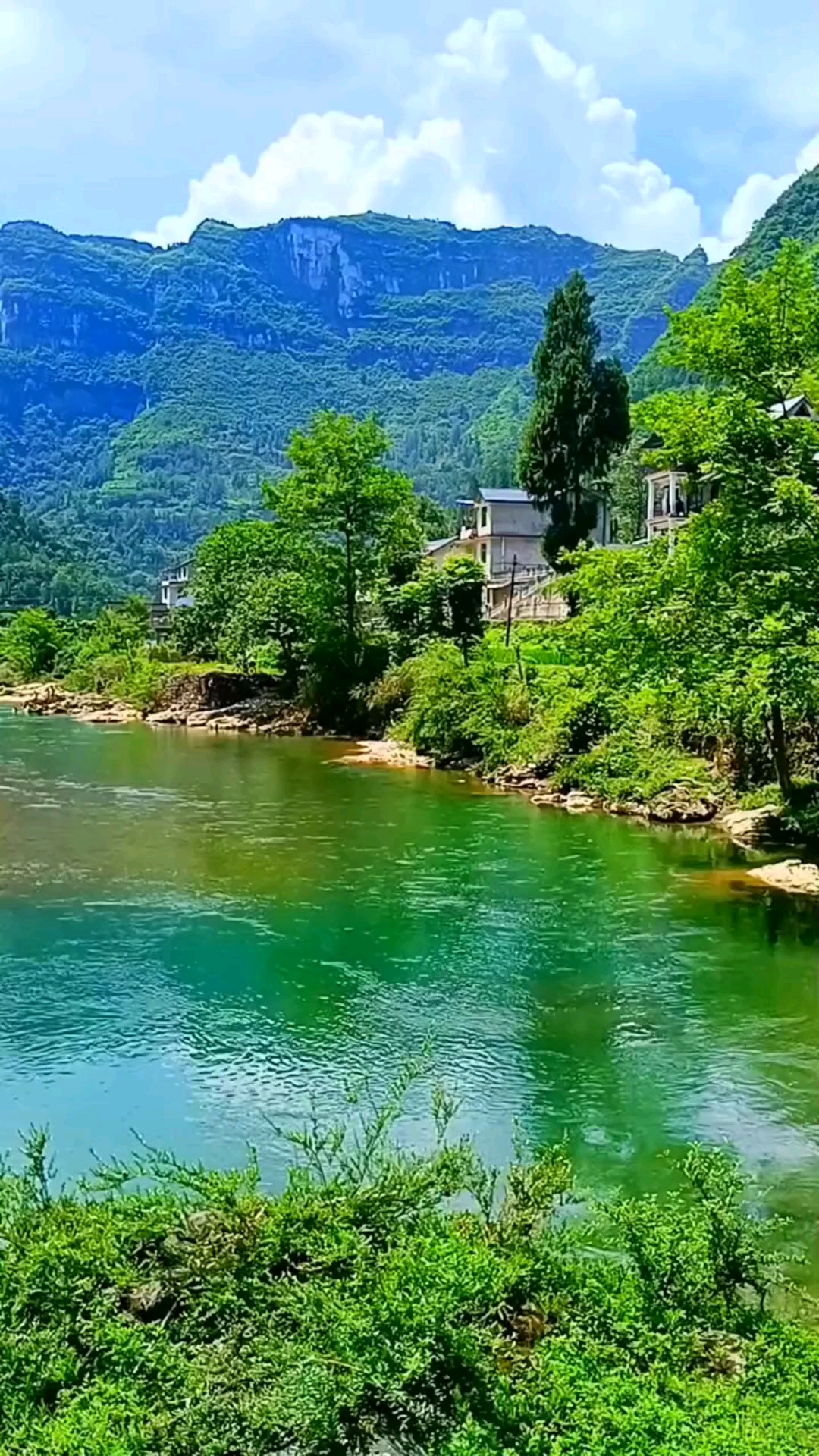 高山常绿恋着水,碧水湾湾缠着山.