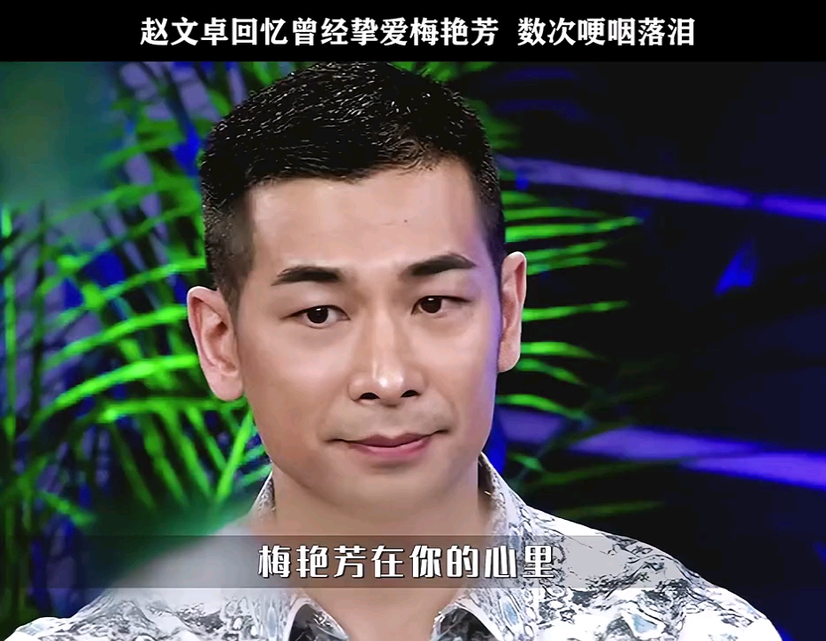 赵文卓再铁汉也会有柔情回忆起和梅艳芳的点点滴滴数次哽咽落