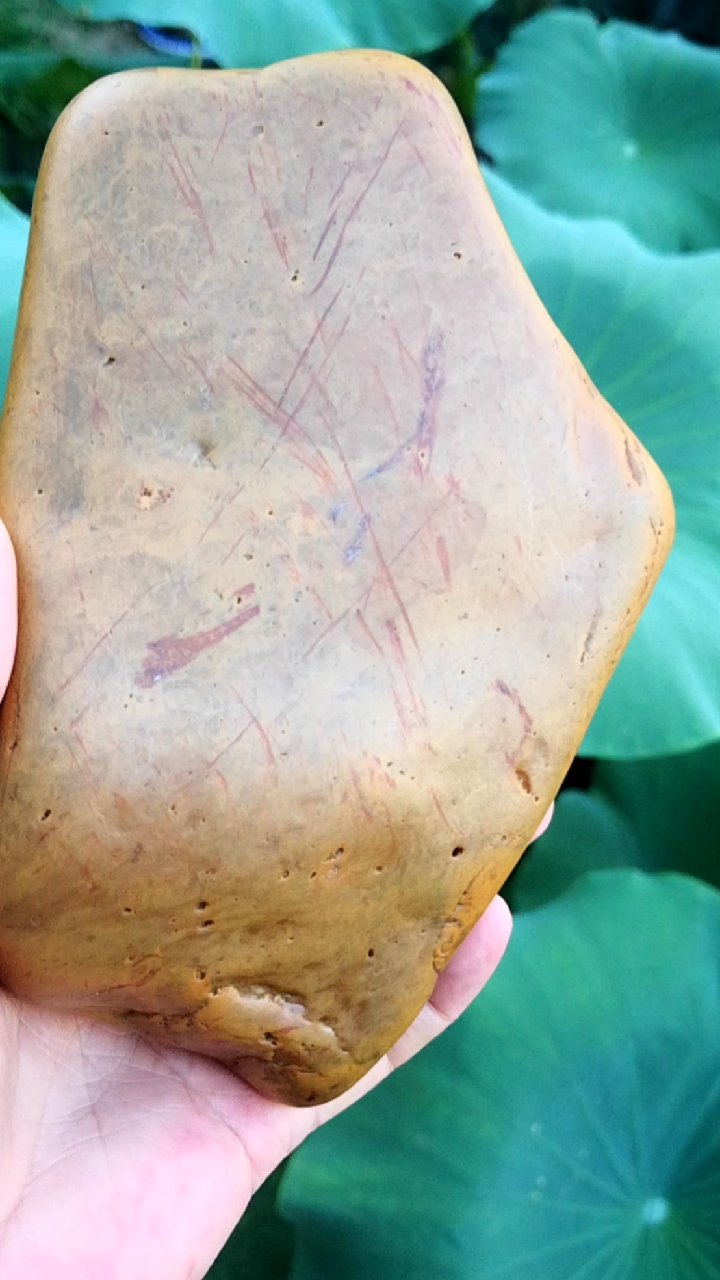 兰江出水#黄蜡石#青皮冻#飘红.