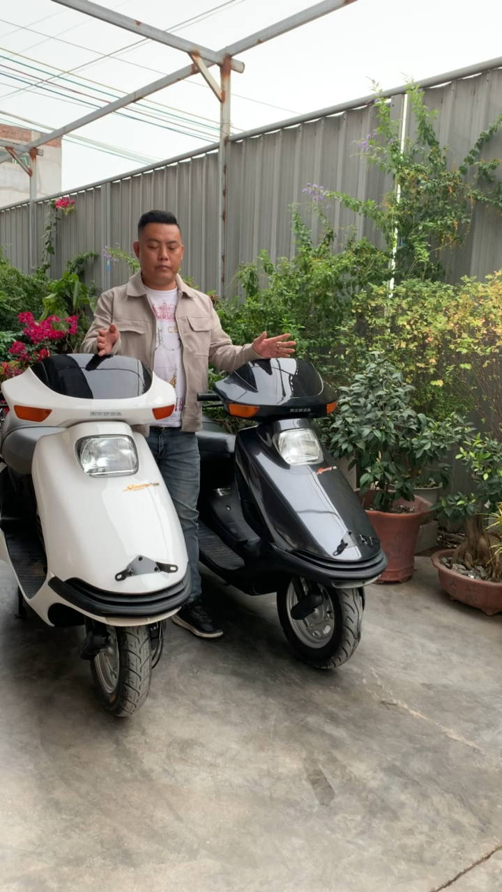 金典本田大白鲨