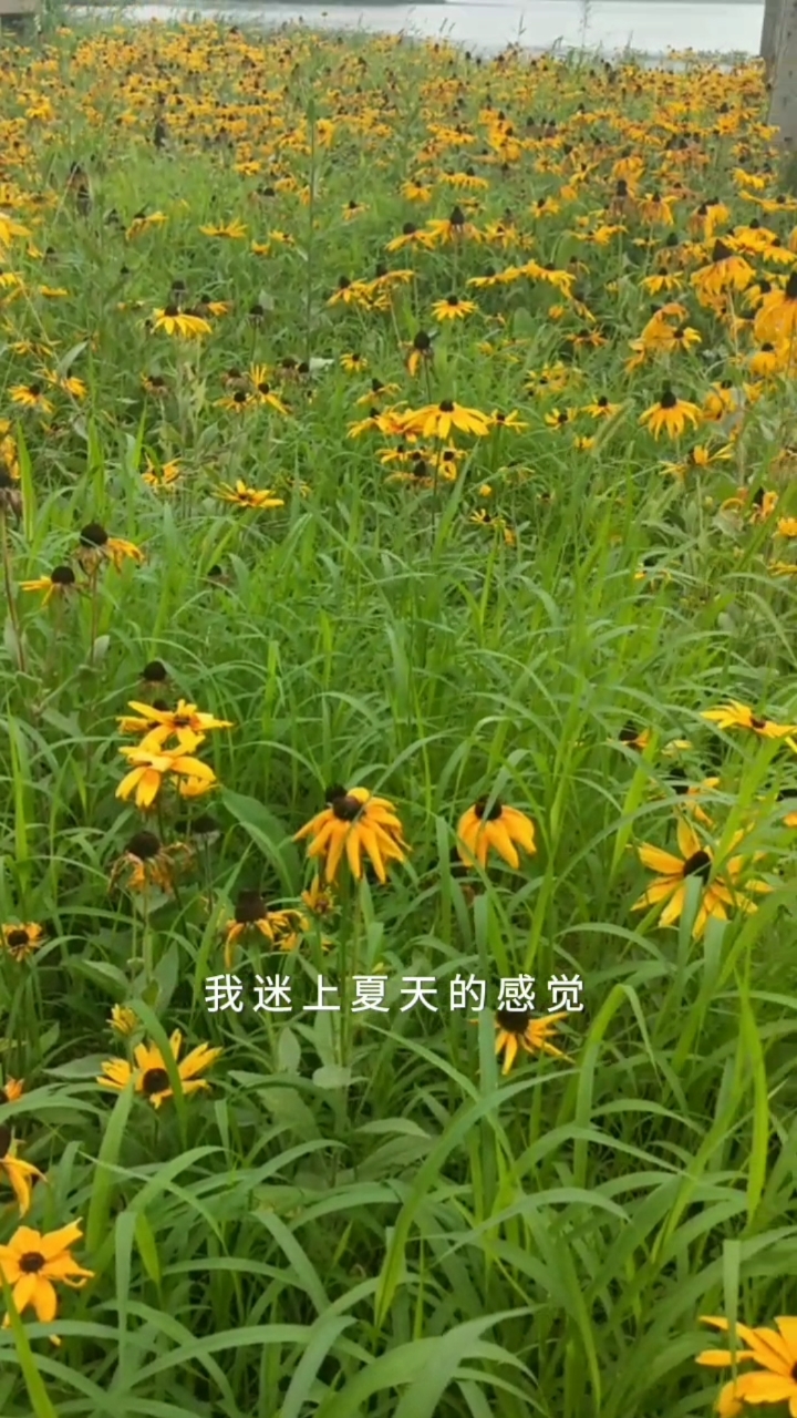 #记录生活#迷上夏天的感觉这火热的季节