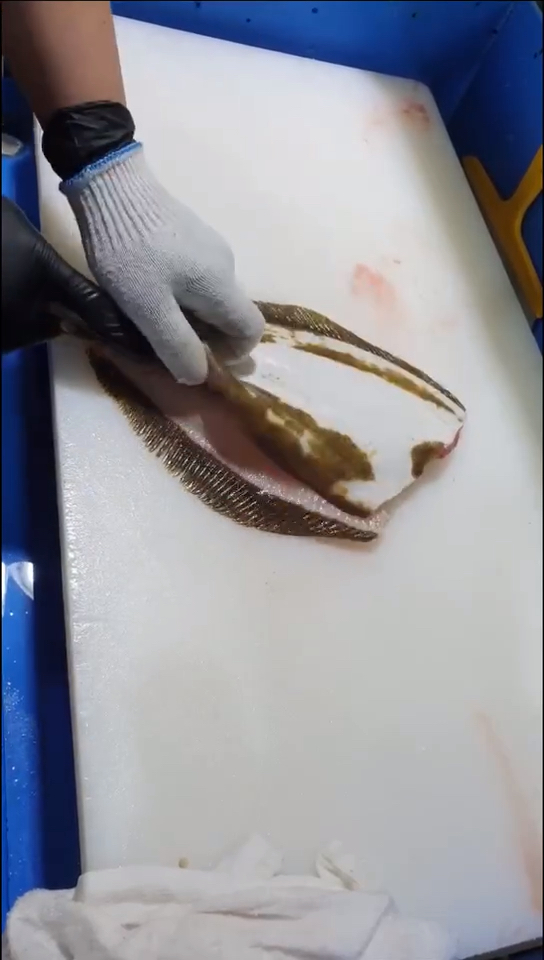 左口鱼分解#分解左口鱼,这个手法大家看看值多少钱一个月呢?