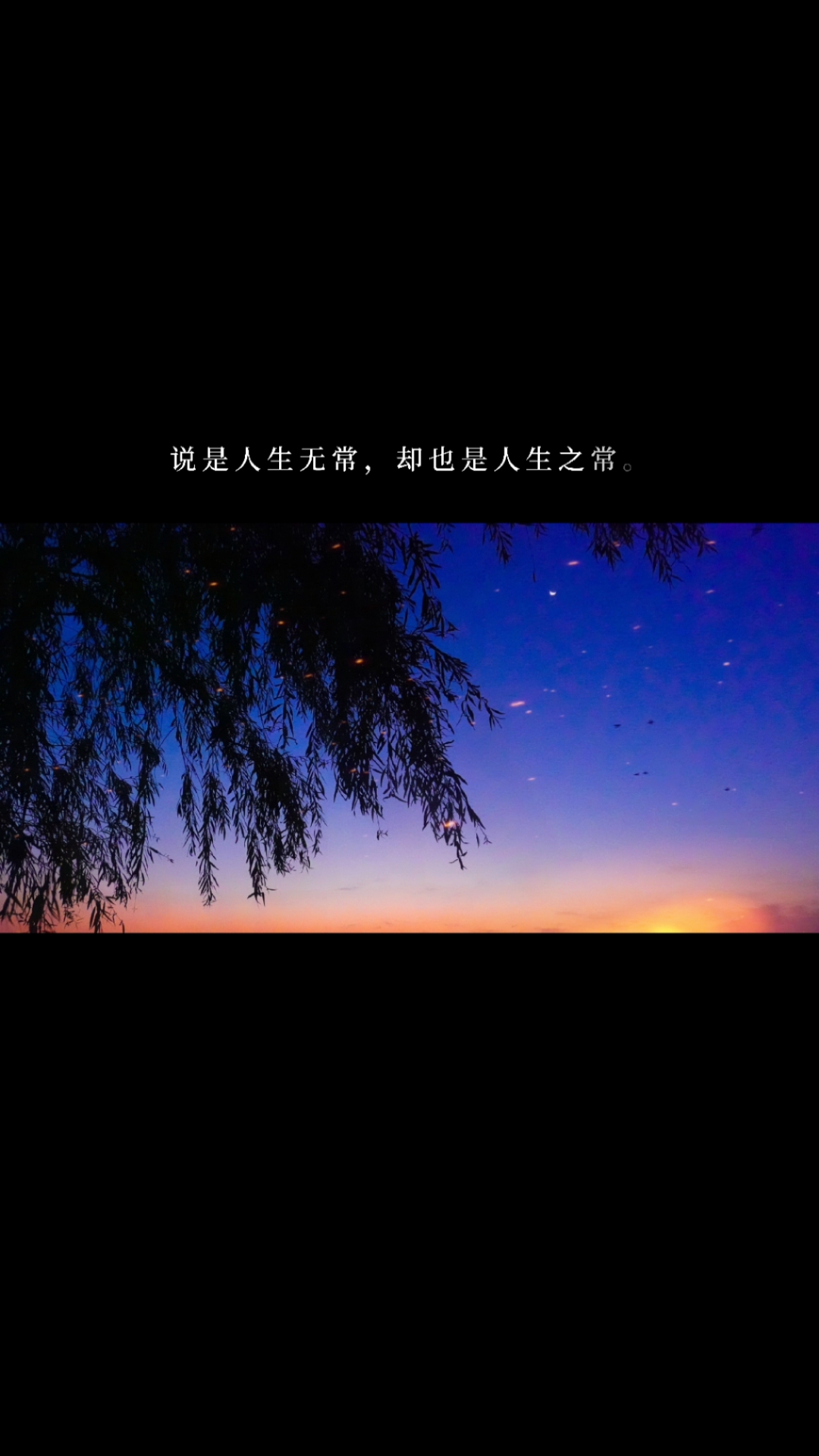 度小视文案说是人生无常却也是人生之常