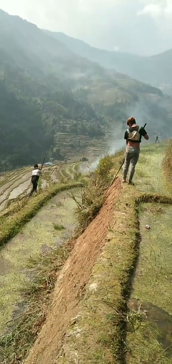 大山里的生活#春耕季节到了,村民们开始整田