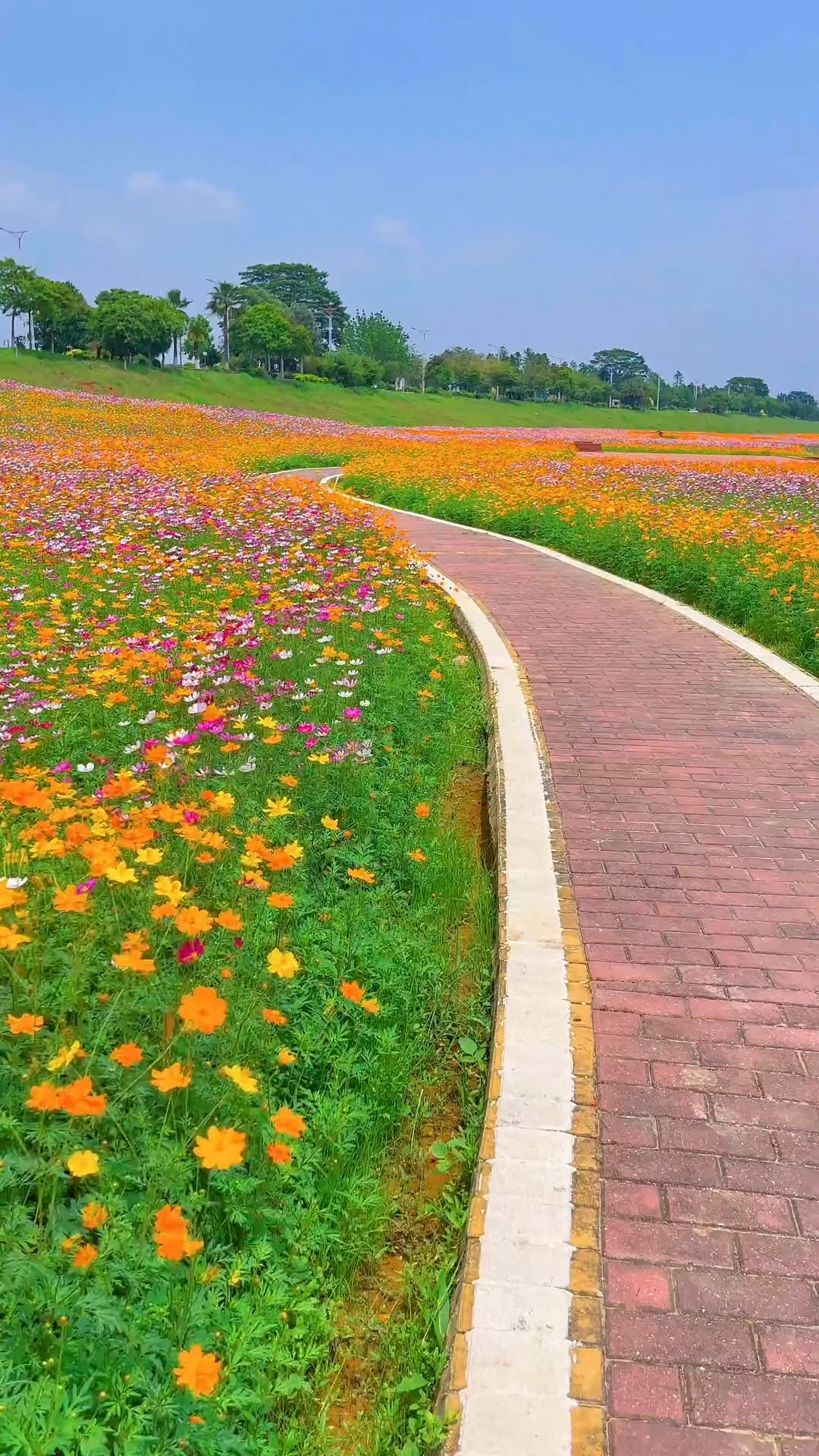 佛山:三水花海生態公園