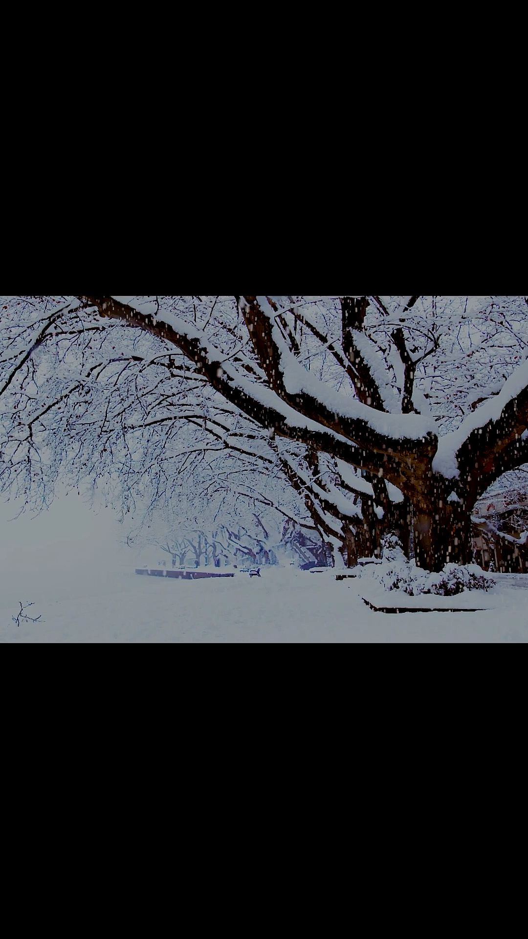 手机摄影#拍摄于2019年底,西湖雪景很冷清.