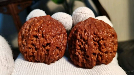 盘玩一年137狮子头效果