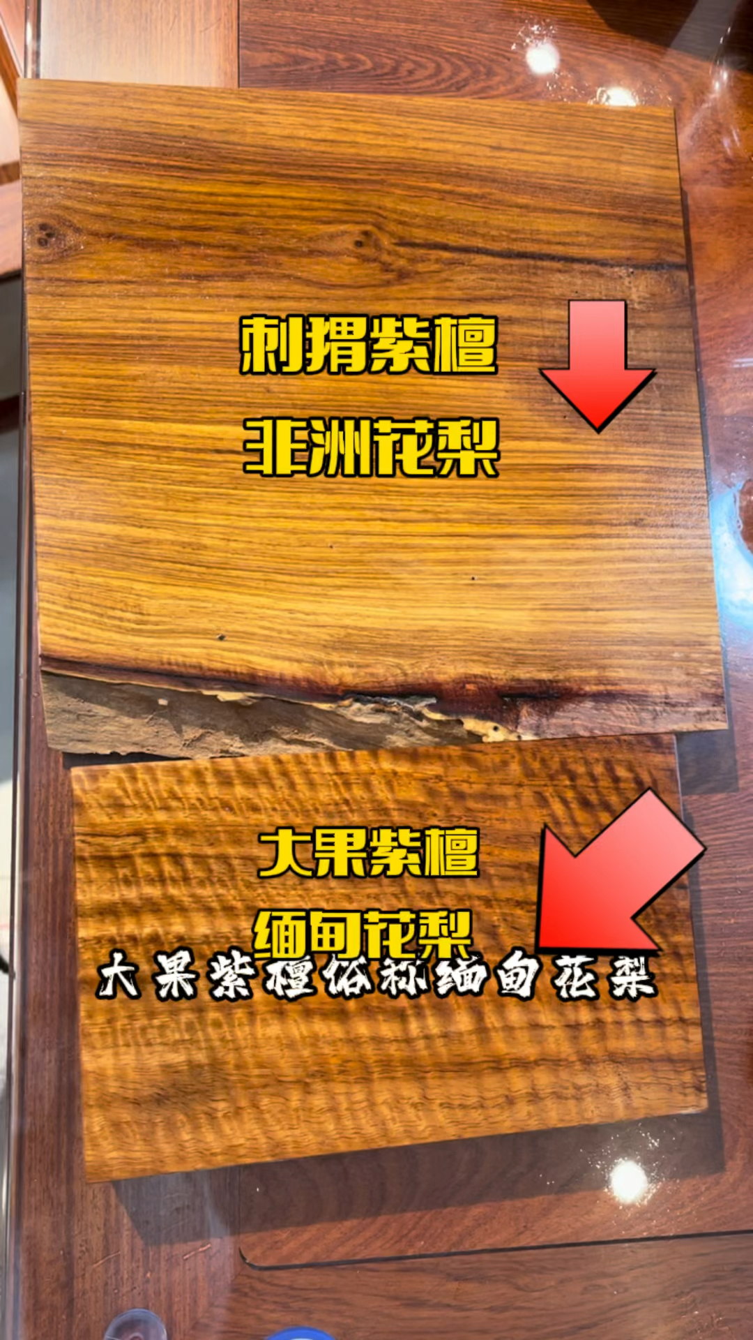 大果紫檀和刺猬紫檀的区别在哪里到底是大果紫檀好还是刺猬紫檀好又