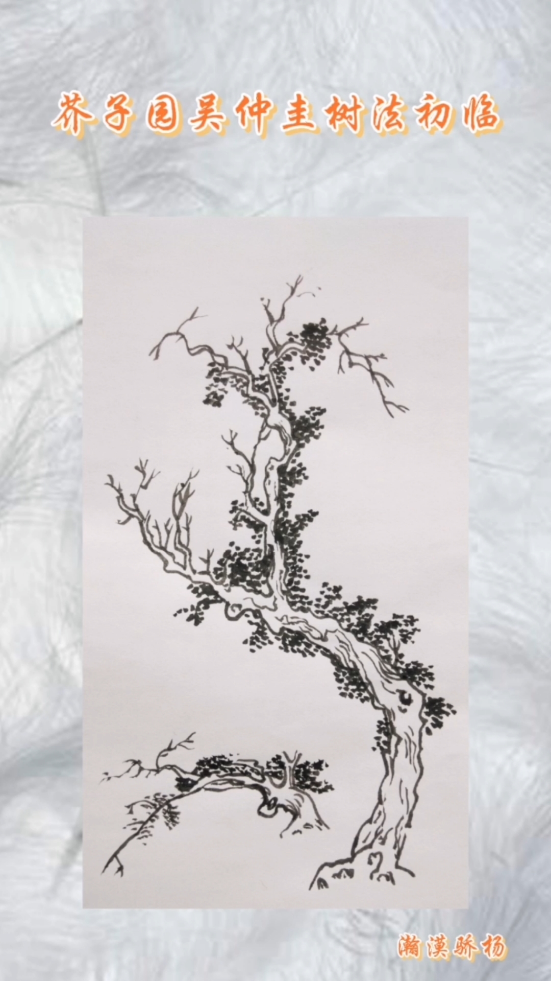 白描也精彩#芥子园吴仲圭树法初临