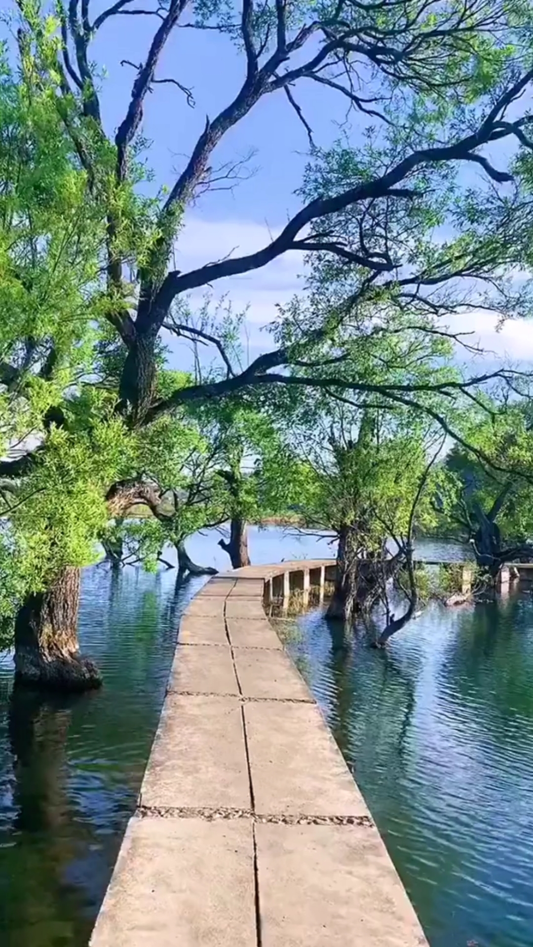 最美的风景#看到美景就有好心情