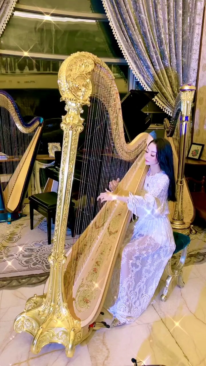 聆听:竖琴弹奏的一曲《吉诺佩蒂》.