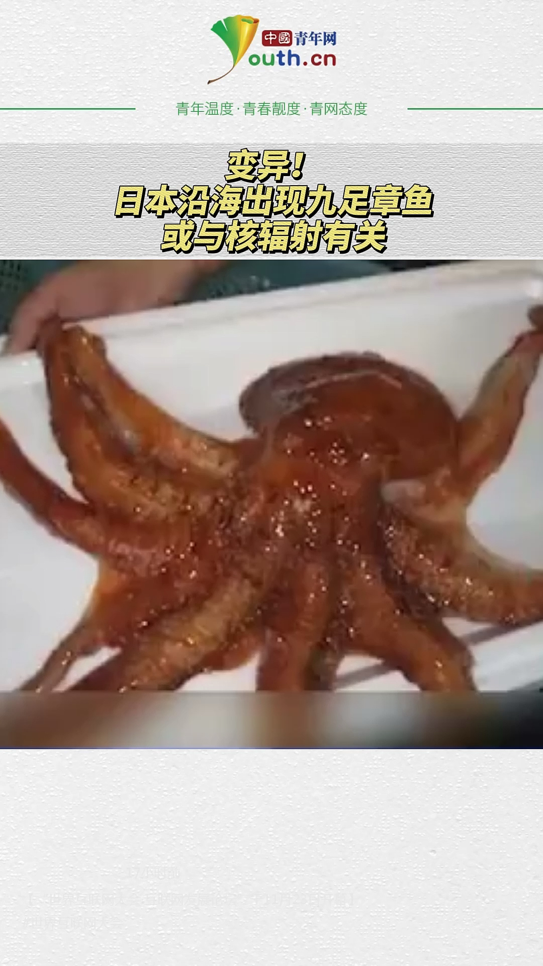 变异!日本沿海出现九足章鱼,或与核辐射有关!