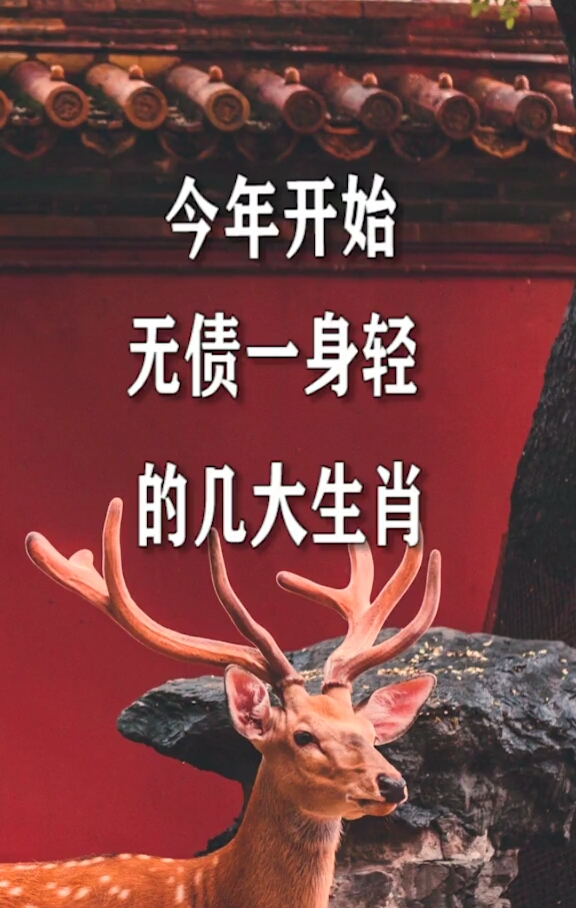 今年开始无债一身轻的几大生肖