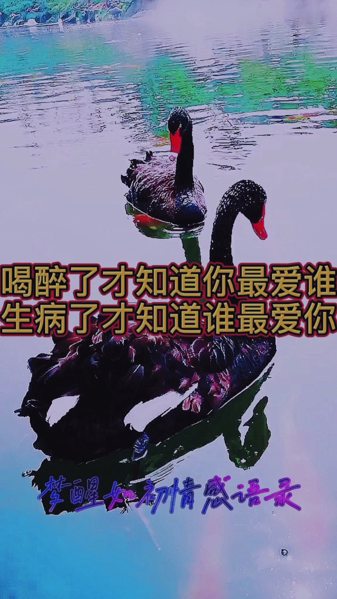 扎心情感语录#喝醉了才知道你最爱谁!生病了才知道谁最爱你