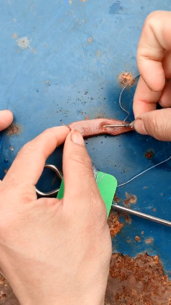 钓甲鱼穿好猪肝