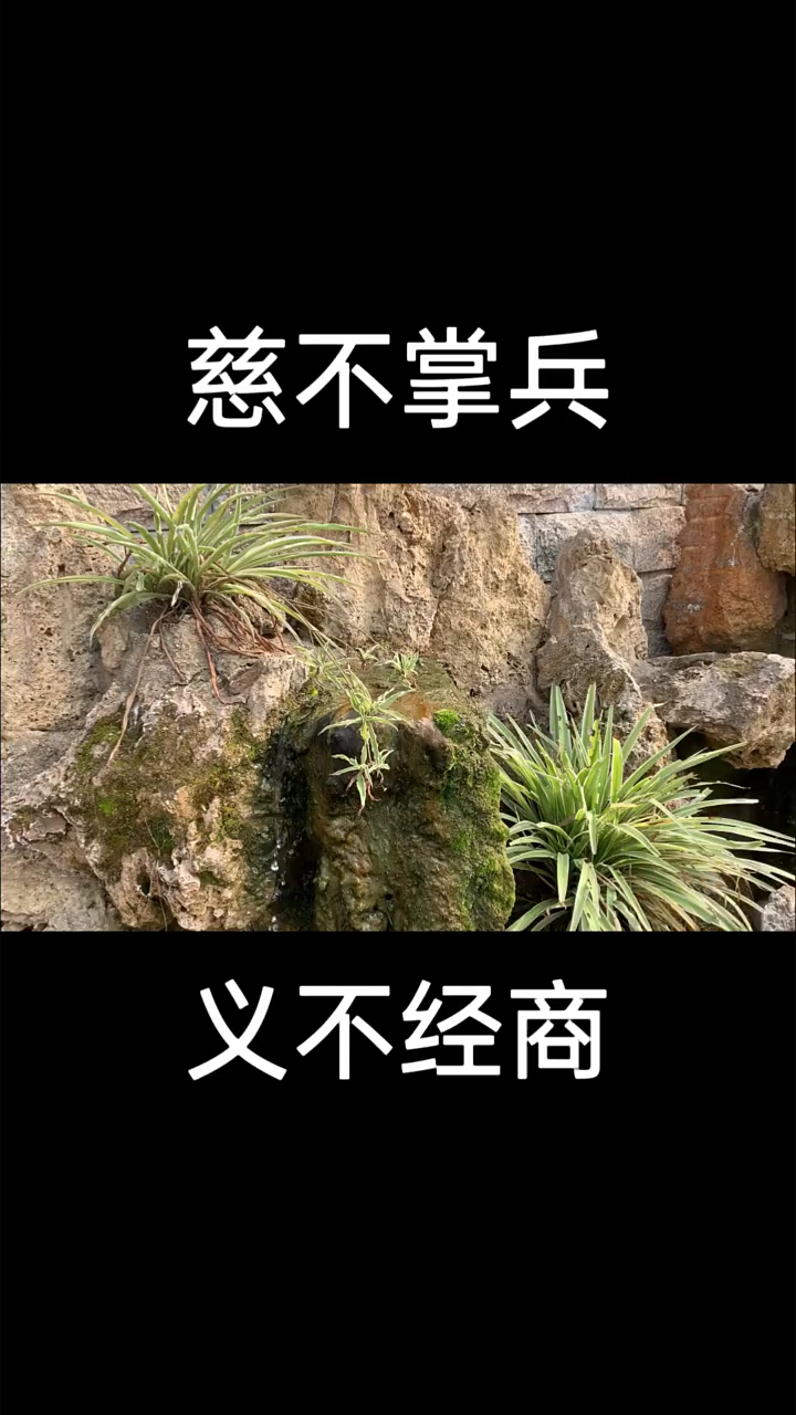 经典语录#慈不掌兵,义不经商!-度小视