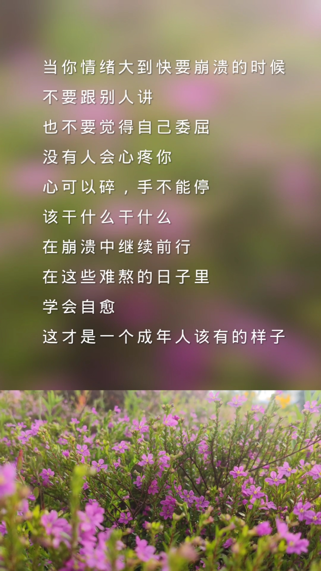 扎心情感语录#学会自愈才是一个成年人该有的样子