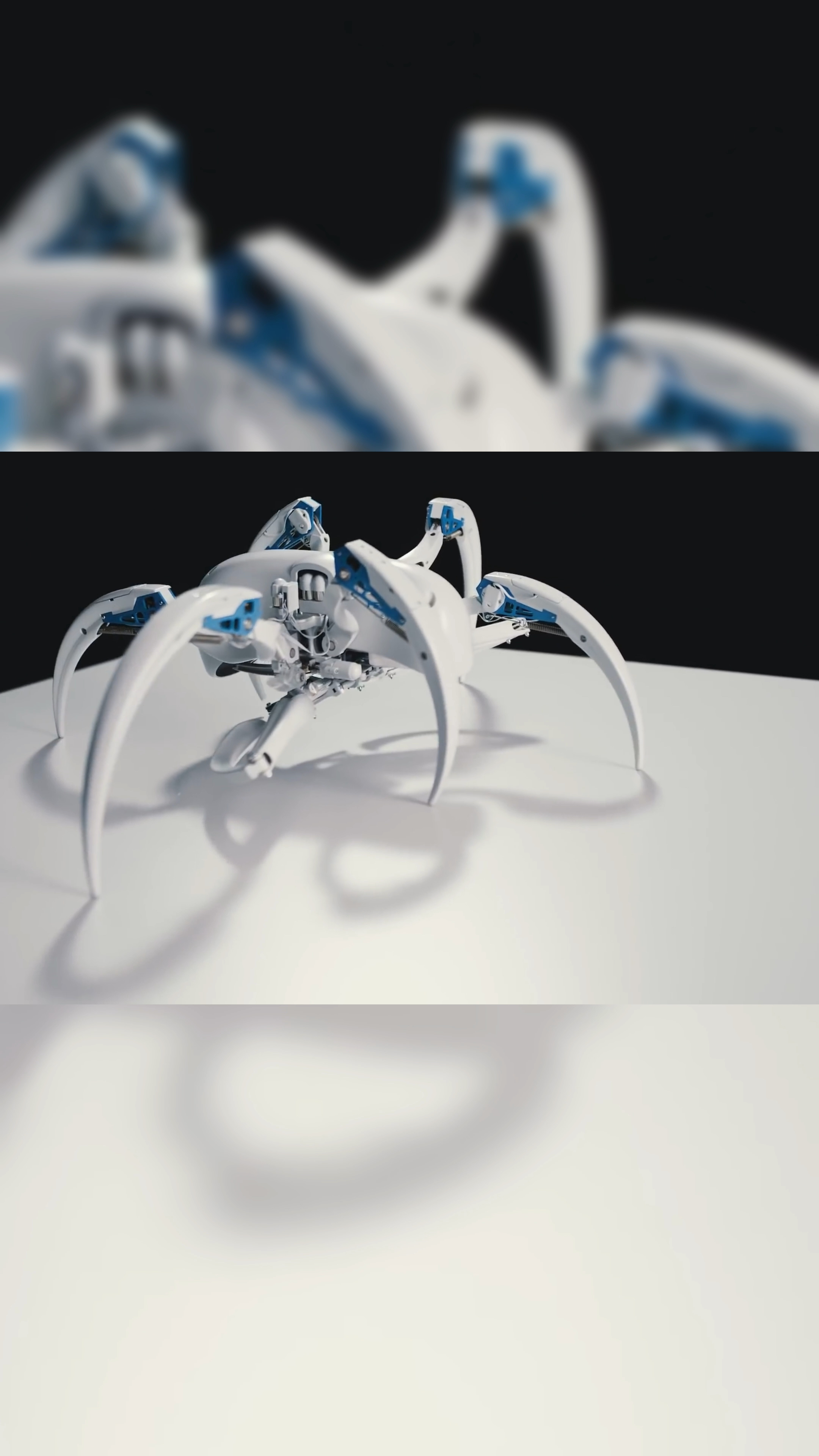 仿生机器人仿生蜘蛛机器人可以像蜘蛛一样逼真不仅可以爬行还可以进入