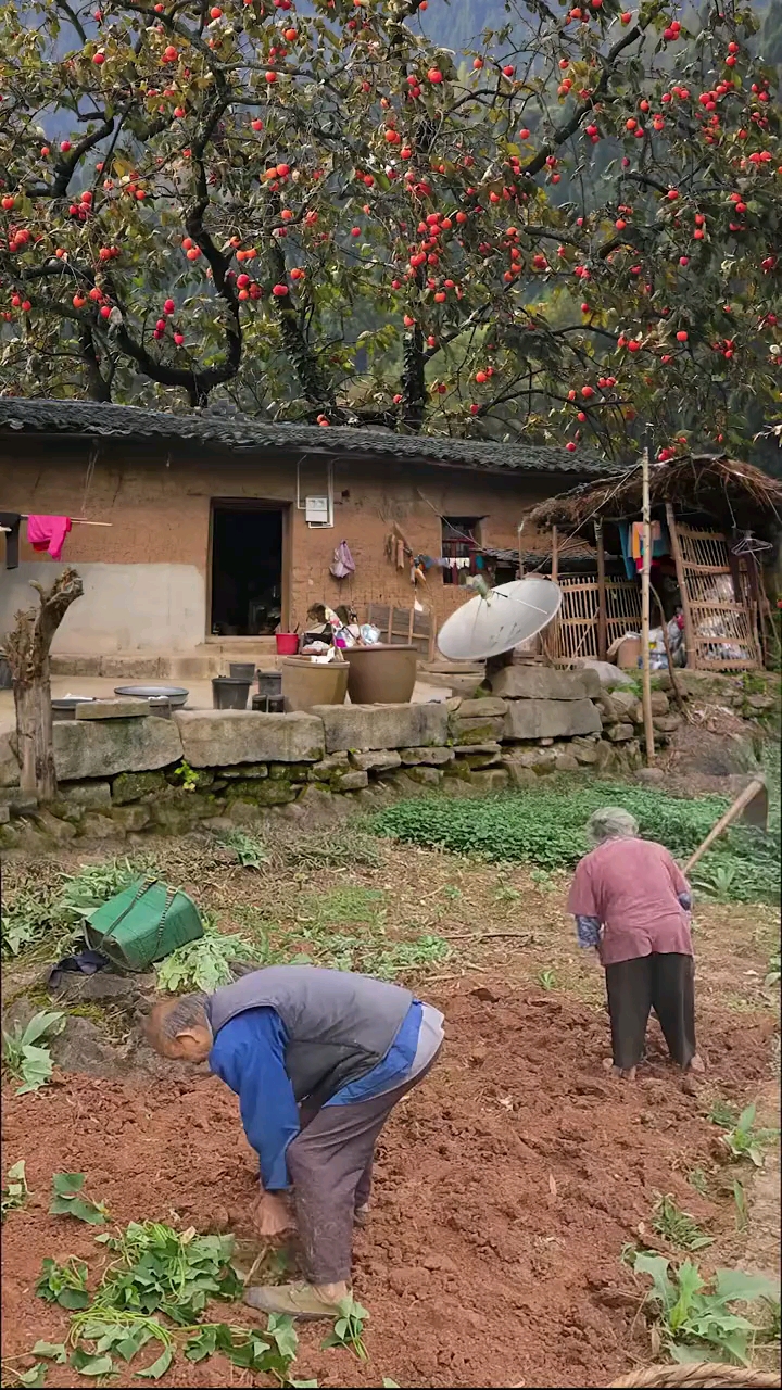 山里生活这就是真实的山里人生活