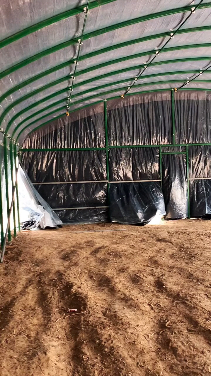 天津养殖大棚侠#建棚的留个关注