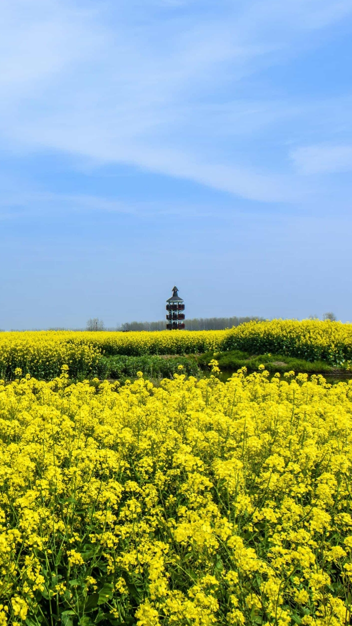 音为有你#美好的画面