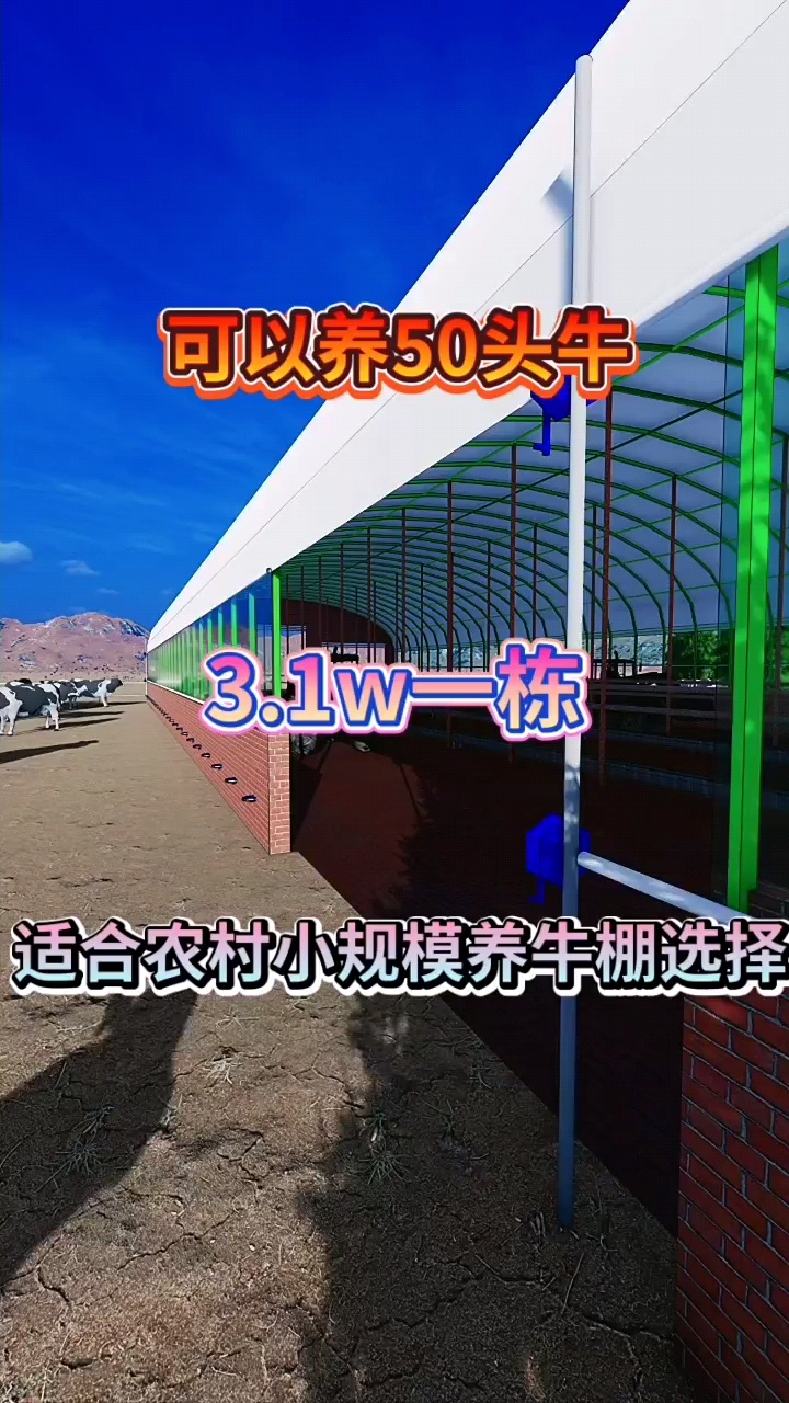 養牛大棚陝西地區能養50頭牛的養殖大棚15米寬30米長造價31w全國上門