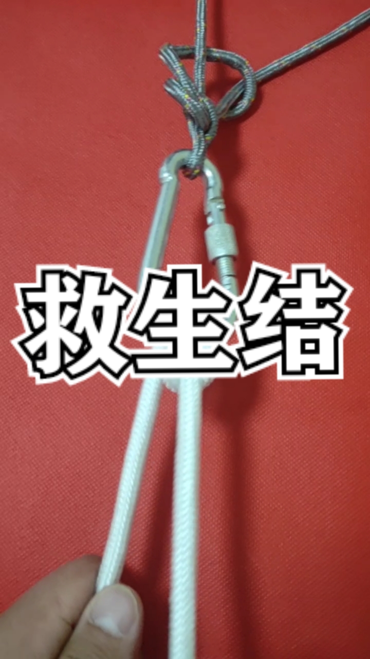 实用绳结#登山攀岩探险探洞,高空作业紧急下降结,打法简单非常的视妹