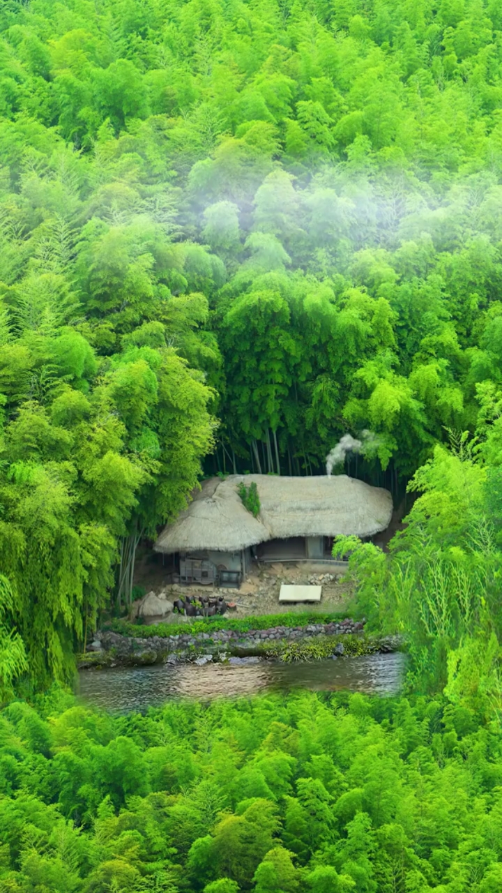 竹林寂寂飞鸟鸣,溪水潺潺沁人心,醉饮清风闲揽月,轻煮岁月慢煮茶!