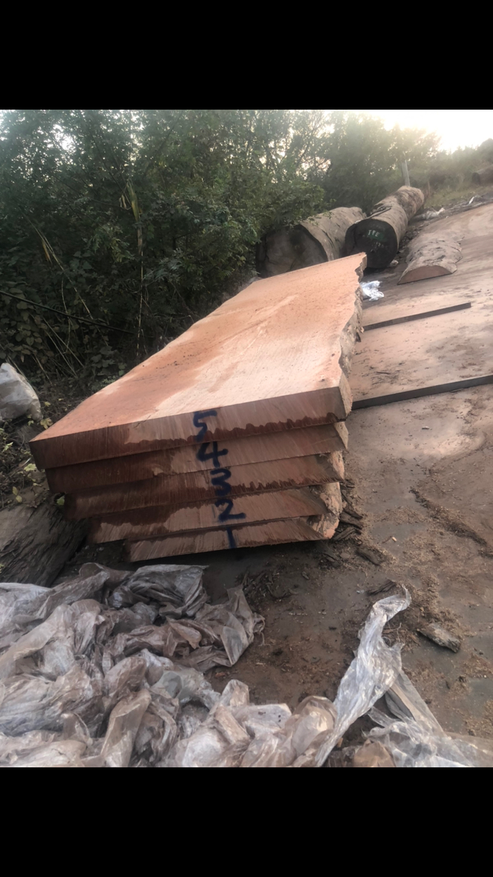 超大沙比利大板桌,长10.9米,宽150公分,高88